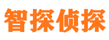 将乐市私家侦探